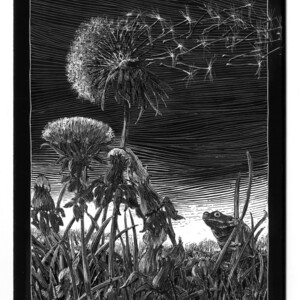 Andre Junget - Atmospheric, Black & White, Books, Botanical, Chalkboard, Environmental, Fairy Tale, Mythology, Narrative, Symbolic, Traditional