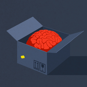 Christina Baeriswyl - Box, Brain, Brainstorming, Consumption, Educated, Education, Fragile, Head, Knowledge, Online Shopping, Order, Pack, Package, Red, Shopping